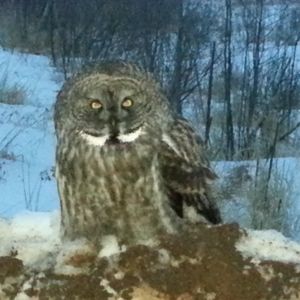 Meet your Posher, Kristine